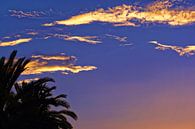 Palmier nuages dorés by Arianor Photography thumbnail