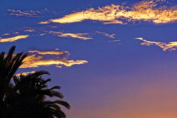 Palmier nuages dorés van Arianor Photography