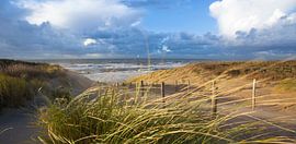 strand, duinen en wind van Arjan van Duijvenboden
