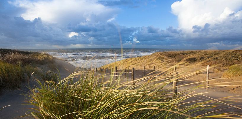 plage, dunes et vent par Arjan van Duijvenboden