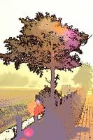 Tree in backlight
