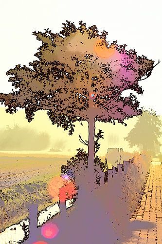 Un arbre en contre-jour