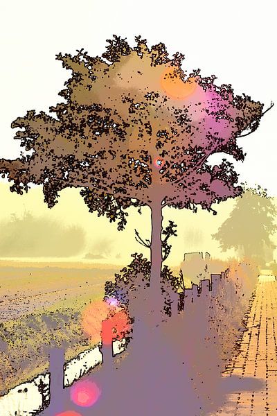 Tree in backlight by Tipworks - Fons Baardman