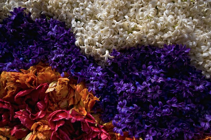 Bloemen by foto-fantasie foto-fantasie