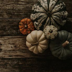 Collection of pumpkins by Monique Brunt