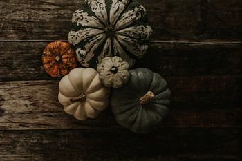 Verzameling pompoenen