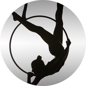 De vliegenier van David Naman