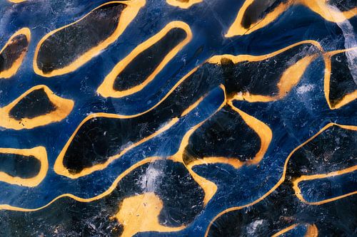 ICE REFLECTION