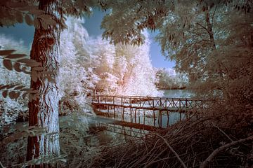 Brug in de bomen (kleur) van Ruud Peters