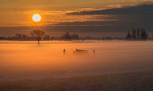 Winter sun over the polder by Raoul Baart