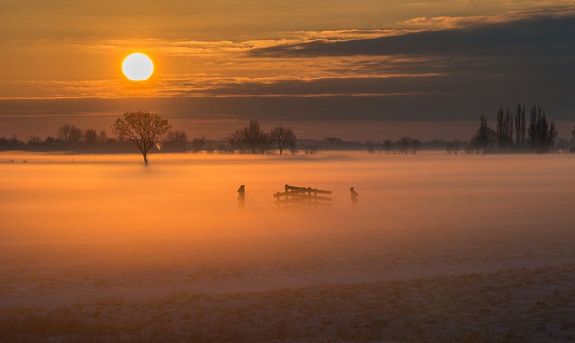 Soleil d'hiver sur le polder par Raoul Baart