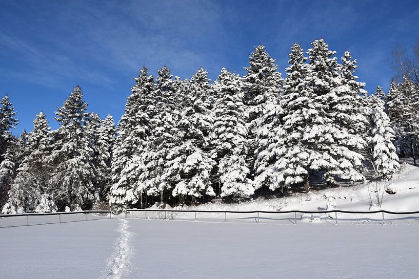 The recreation ground in winter by Claude Laprise