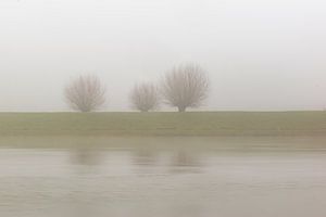 trio in de mist van Tania Perneel