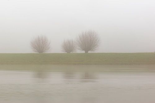 trio in the fog