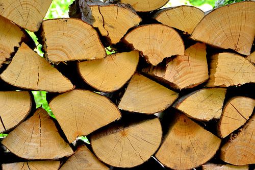 Bois de chauffage pour l'hiver
