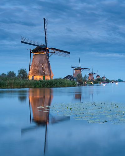 Kinderdijk's illuminated windmills during blue hour
