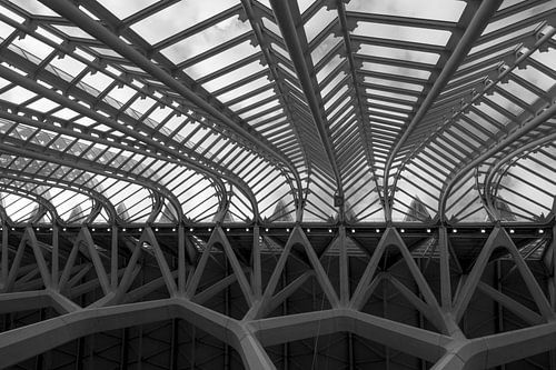 Colonne vertébrale et colonne vertébrale