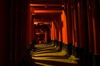 Ein Träumerisches Nachtfoto der Roten Torii-Tore in Fushimi Inari, Kyoto, Japan