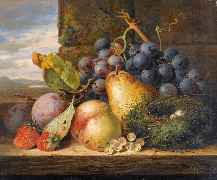 Stilleben mit Vogelnest und Obst, Edward Ladell von Meisterhafte Meister