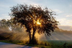 Mist en Zonsopkomst
