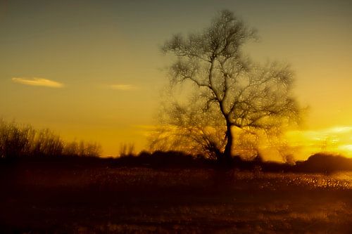 laatste minuten van het licht
