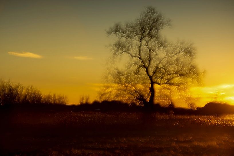 last minutes of light by Detty Verbon