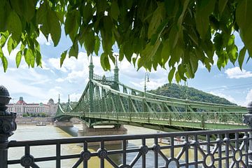 De historische Vrijheidsbrug, Szabadsag verborgen, in Boedapest van Heiko Kueverling