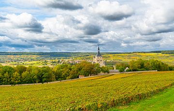 View of a village in the Champagne region of France with grapes in the foreground by Ivo de Rooij