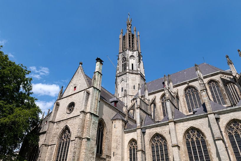 Hulst Zeeland Niederlande Sankt-Willibrordus-Basilika von Richard Wareham
