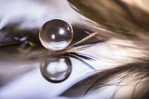 Reflectie | druppel en veertjes |goud