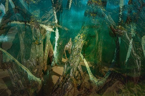 Geheimzinnig abstract