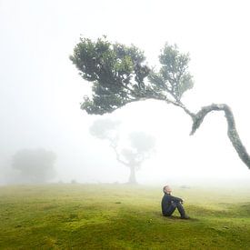 En conversation avec la nature sur Henk Meeuwes