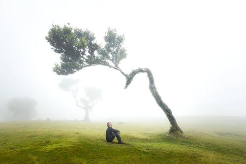 In gesprek met de natuur
