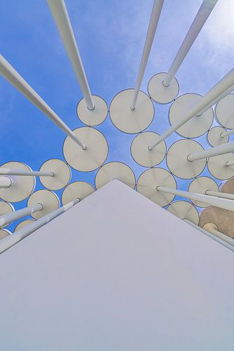 Stein Palmen in Leipzig