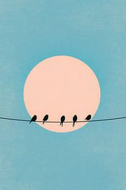 Cinq oiseaux pour le doux soleil