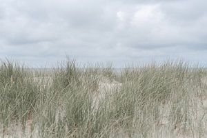 La mer derrière les dunes sur DsDuppenPhotography