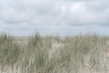 Das Meer hinter den Dünen von DsDuppenPhotography