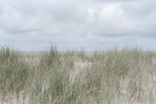 De zee achter de duinen