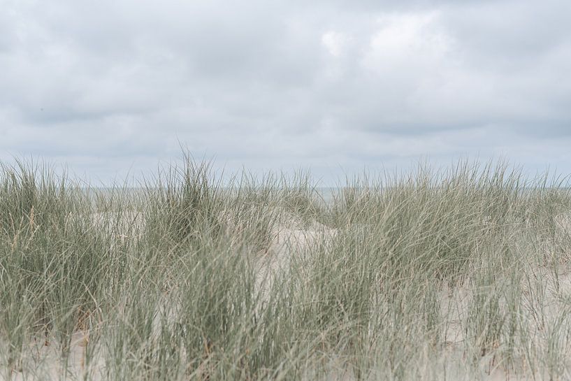 The sea behind the dunes by DsDuppenPhotography