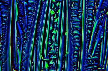 paracetamol B von Frans Beer