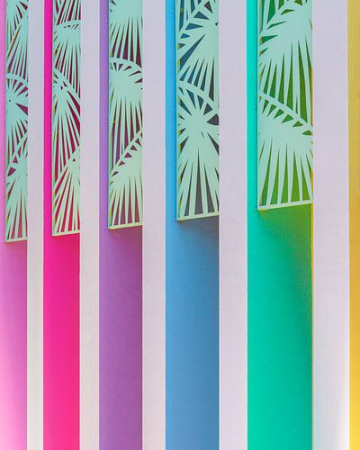 Rainbow Color Wall at The Saguaro