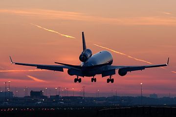 Landing in the early morning van Nico van Remmerden