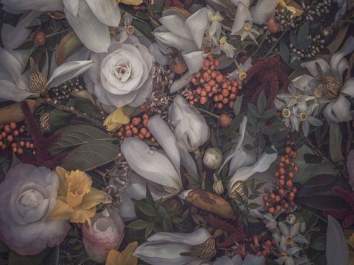 Magnolia's&Camelia's