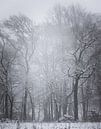 Winterlandschap van Maurice Cobben thumbnail