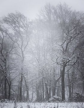 Winterlandschap van Maurice Cobben