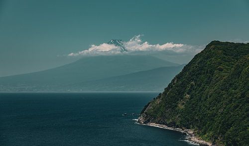 Majestueuze Mount Fuji & groene kliffen van de Izu kust