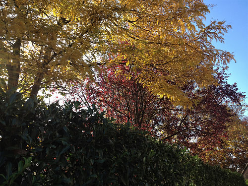 Autumn