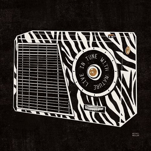 Analog Jungle Radio, Michael Mullan