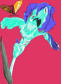 Irissen tegen een roze achtergrond van Monki's foto shop