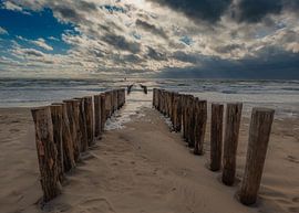 Vue sur la mer sur Jeroen te Lindert